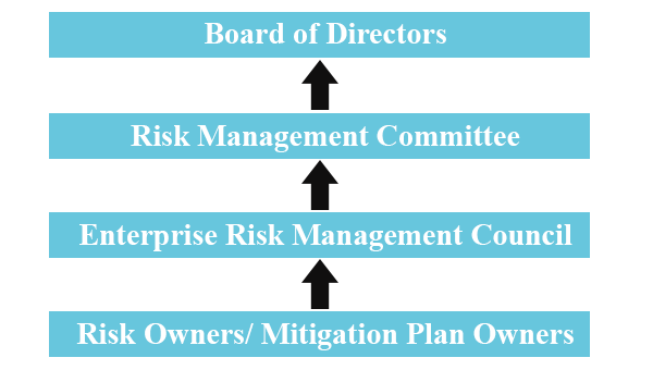 Risk Management Structure