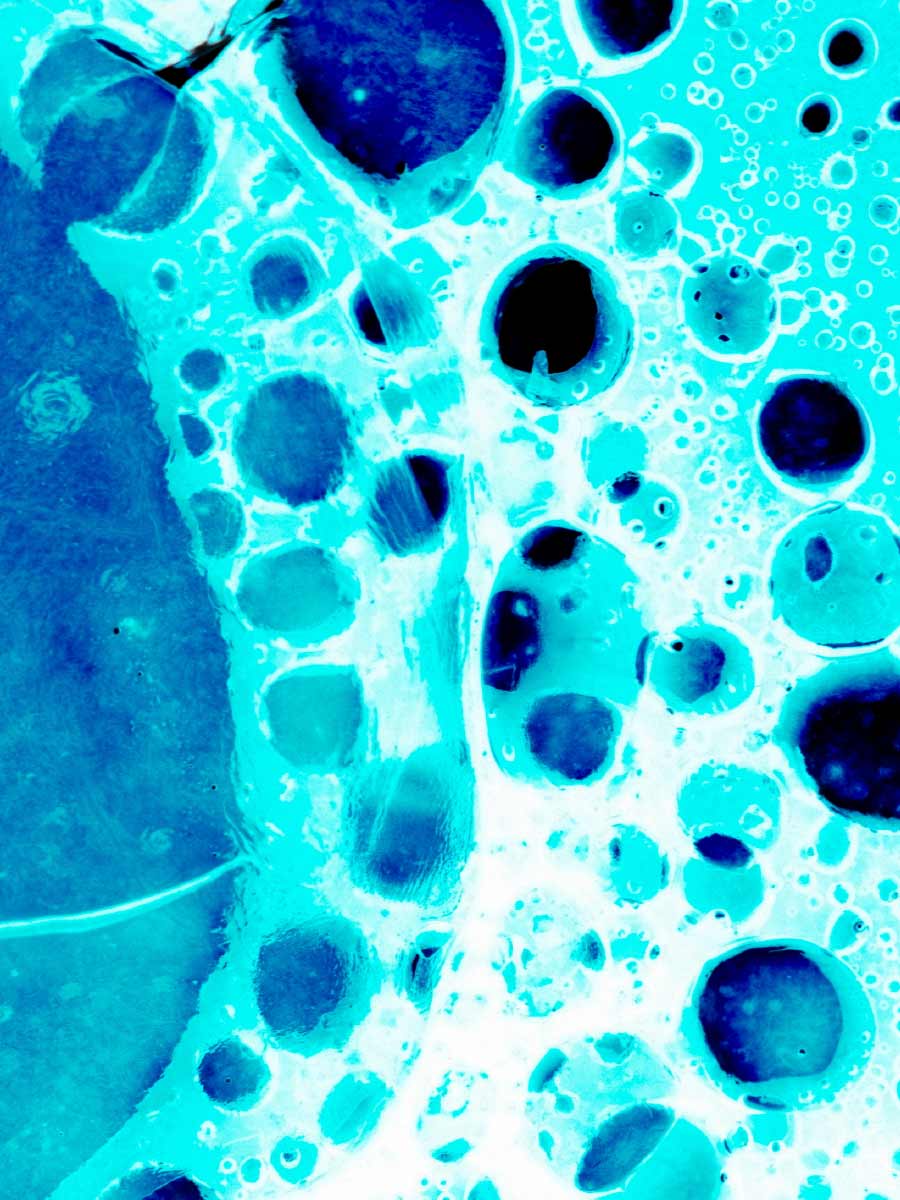 mob-banner